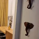 Luxury Apartment