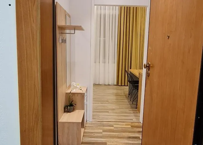 Luxury Apartment